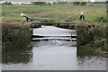 TQ7894 : Floodgate & weir on the River Crouch by Geographer