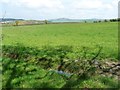 Farmland north-west of Tyddyn Uchaf