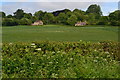 Field and houses near Maperton