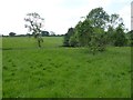 Farmland to the west of Tenbury Wells