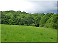 Field north of Shipwrights Wood