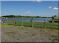 Fly fishing at Blackdyke Farm