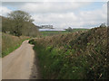 SX8051 : Lane to Oldstone Cross from Blackawton by Robin Stott