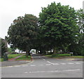 Tree-lined Sunnyside Road, Bridgend