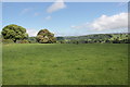 Field at Cricket St Thomas