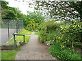 Path into the garden, Cober Hill, Cloughton