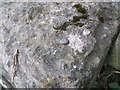 Squashed Ordnance Survey rivet benchmark on bridge parapet, Llanrug