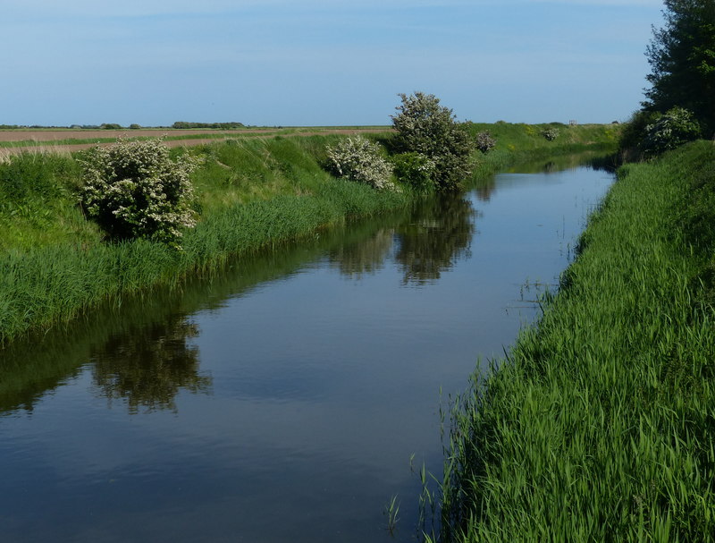 Winestead Drain near Outstray Farm © Mat Fascione cc-by-sa/2.0 ...