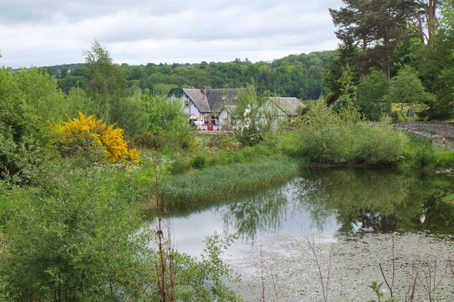 Pond near the Long Philip Burn, Selkirk