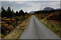 Looking South West up the Lewiston/Grotaig Minor Road