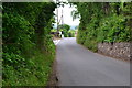 ST1839 : Mill Lane, Nether Stowey by David Martin