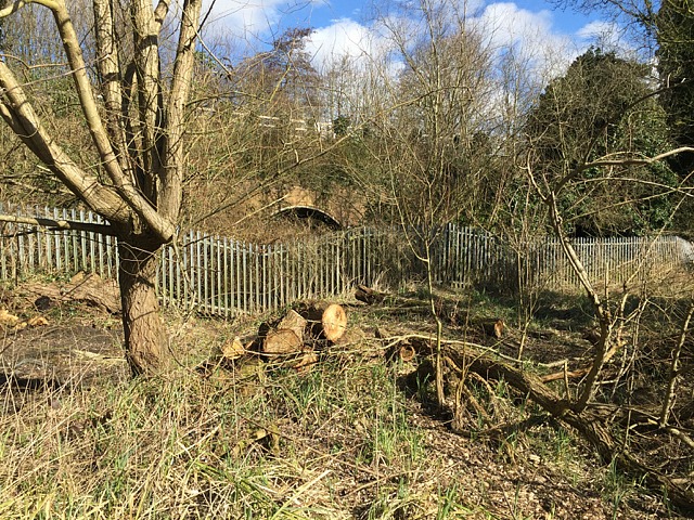 Scrub clearance by a railway fence, Brindley's Field, southeast Warwick