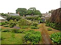 Courtyard rose garden, Fairfield House