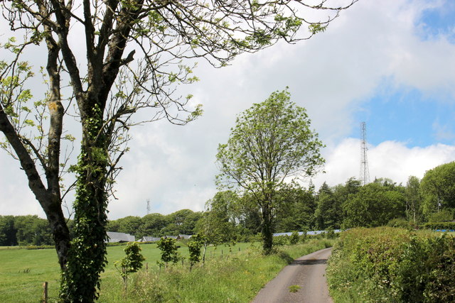 Lane at Windwhistle 