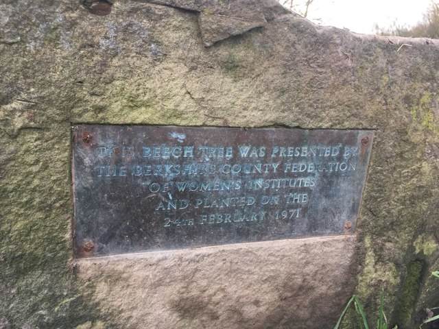 Plaque on the Stone