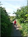 NU2131 : Footpath along a disused railway bed by Anthony Parkes