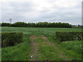 Field west of Stoke Road