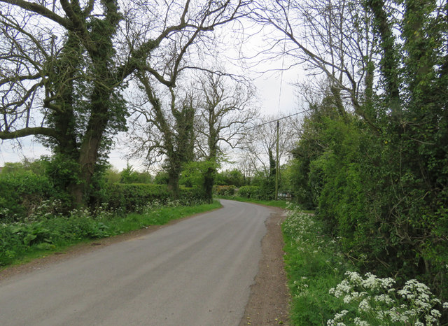 Dadlington Lane towards Dadlington
