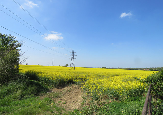 Pylons and oil seed rape by the Fosse Way