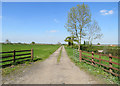 Norwood Farm driveway