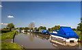 Shropshire Union Canal - moorings at Golden Nook (3)