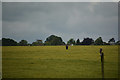 Wiltshire : Grassy Field
