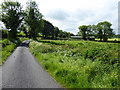 Halftown Road, Cullendrone