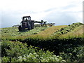 Turning grass, Cullenbrone