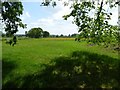 Farmland to the south of Leysters church