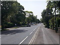 Tadcaster Road - viewed from Hunters Way