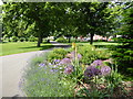 The Butterfly and Bee Border, Cottons Park