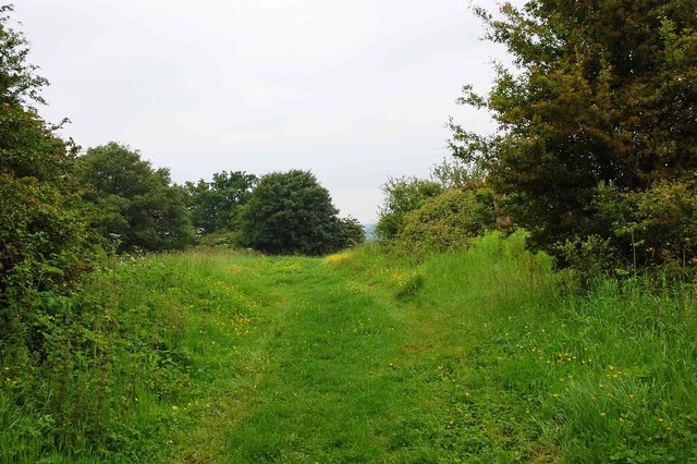 Track near High Cogges, Witney, Oxon