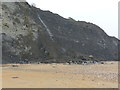 SY3892 : Rock fall at Charmouth beach, good for fossil hunters by Rob Purvis