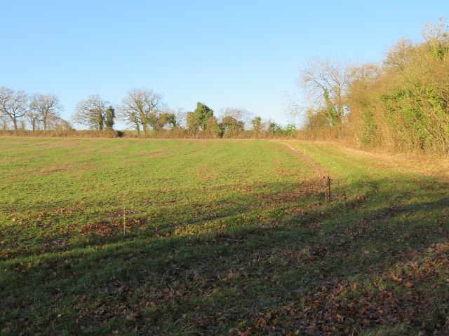 Field by Kingsdown Wood