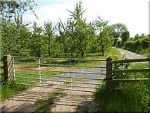SO5263 : Gate into an orchard by Philip Halling