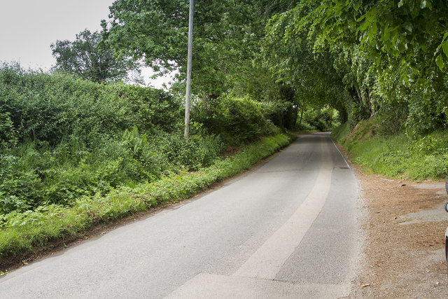 A country lane