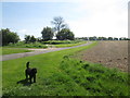 SE8451 : Farm  access  track  from  Warren  Farm  (2) by Martin Dawes