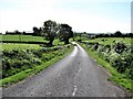 Drumlins on either side of the descending Slievehanny Road