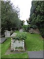 TQ1873 : St Peter, Petersham: churchyard (d) by Basher Eyre