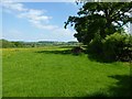 Farmland opposite Olden Farm