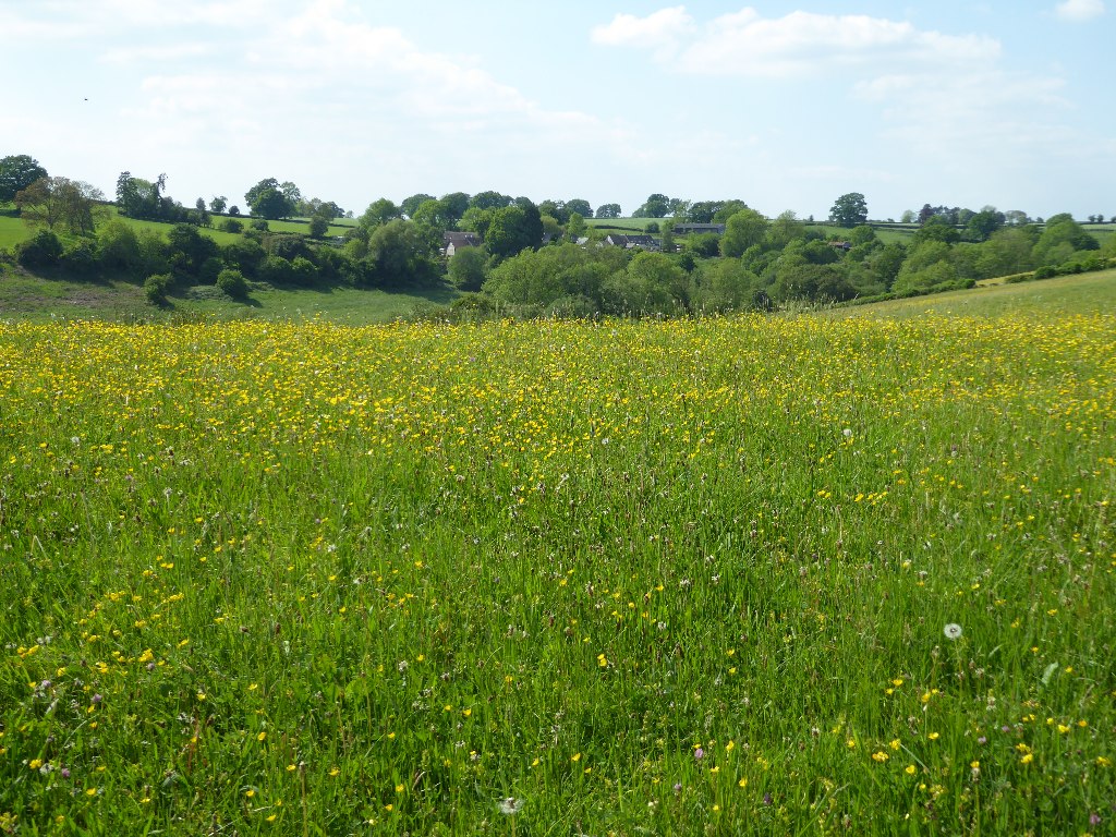 View to Lower Bach © Philip Halling :: Geograph Britain and Ireland