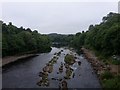 NZ0561 : Looking upstream along the River Tyne by Graham Robson