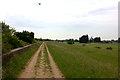 Path by the sea wall