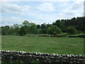 Grassland and woodland near Alma Farm