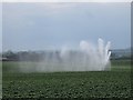 Irrigation at Templeton