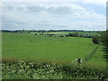 Grazing near Grazing Nook Farm