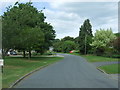 Road heading north east from Patrick Brompton