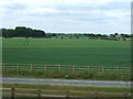 Crop fields, Aiskew Moor