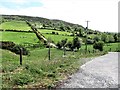 Lane linking a homestead high on Clonvaragh Mountain with Ribadoo Road