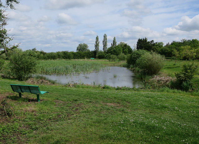 Pond by Broad Lane